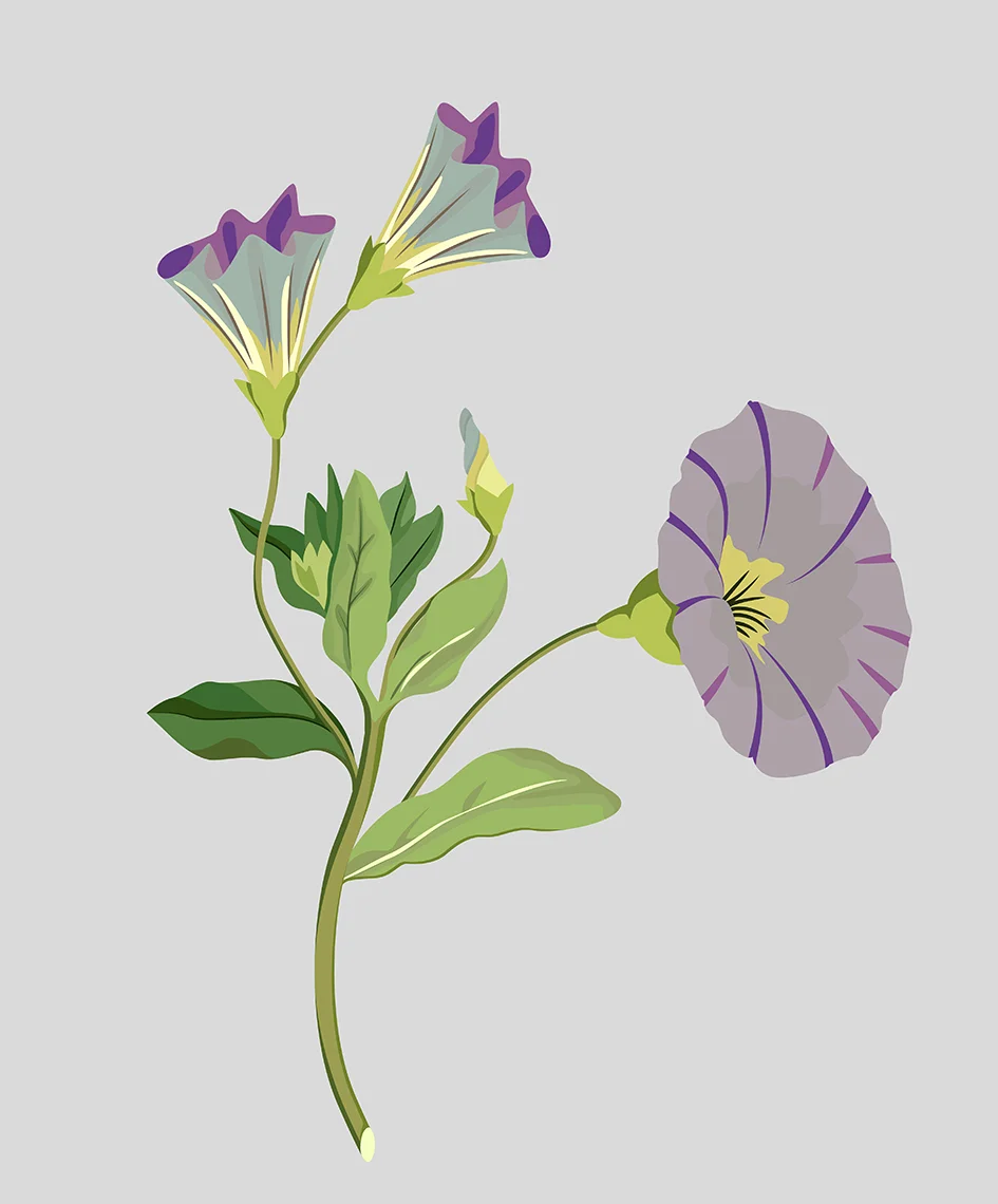 00_Flowers_02.jpg