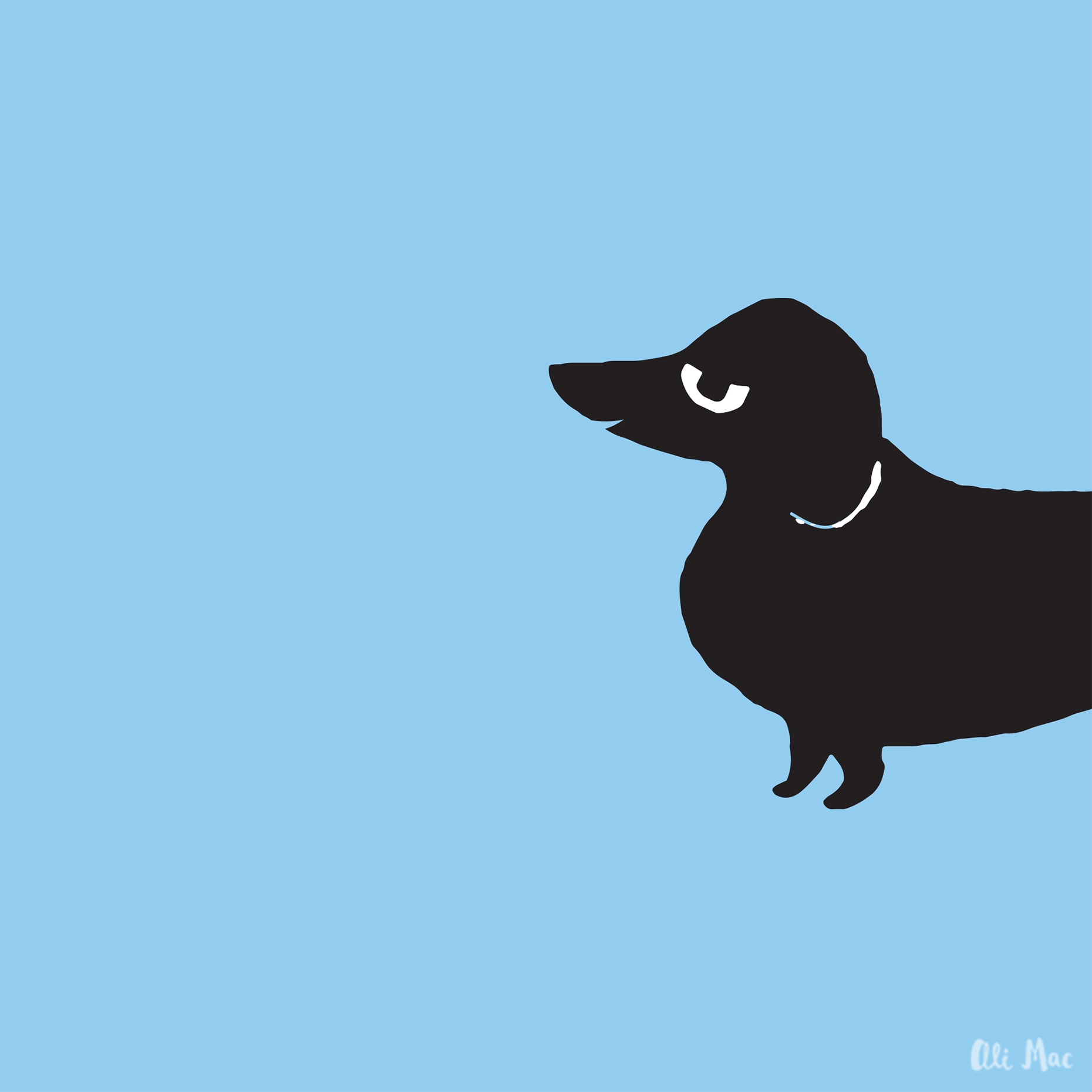 AliMac_DoxieStretch.gif