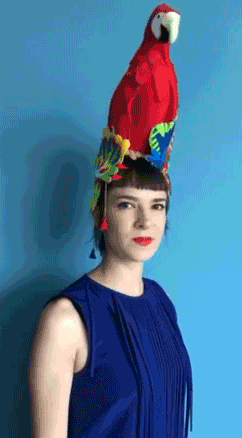arara.gif