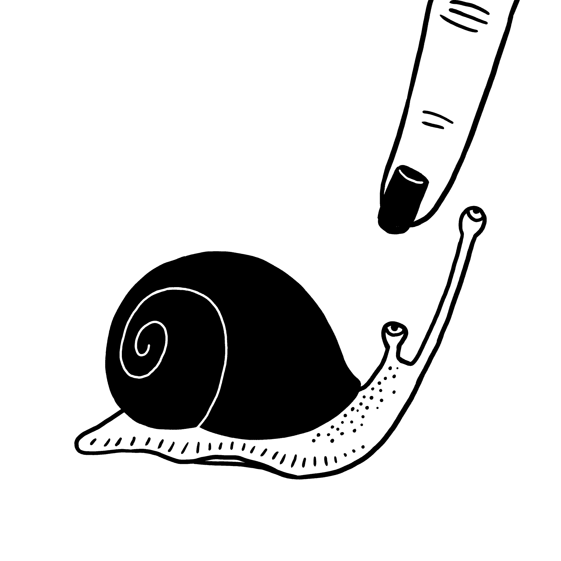 snail.gif