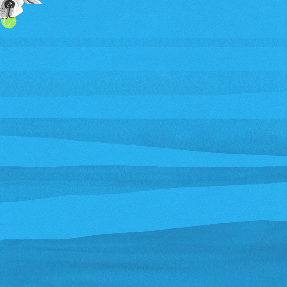 Puppy_Swimming_libbyvanderploeg.gif