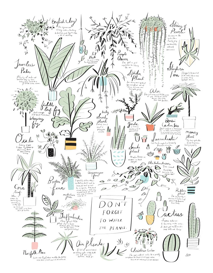 DontForgetPlants_libbyvanderploeg.jpg