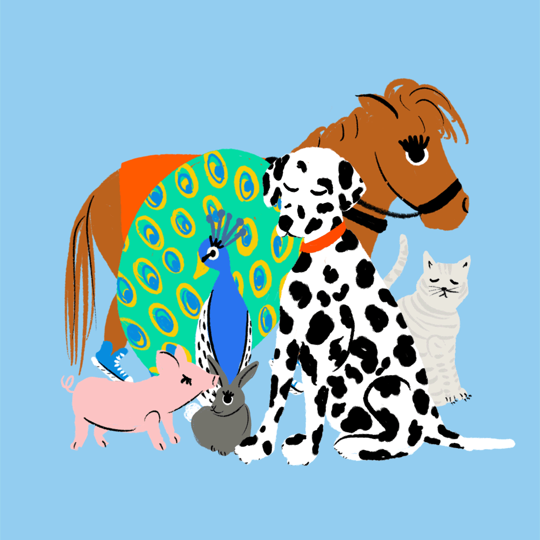 AliMac_WashPo_AllAnimals_SQ.gif