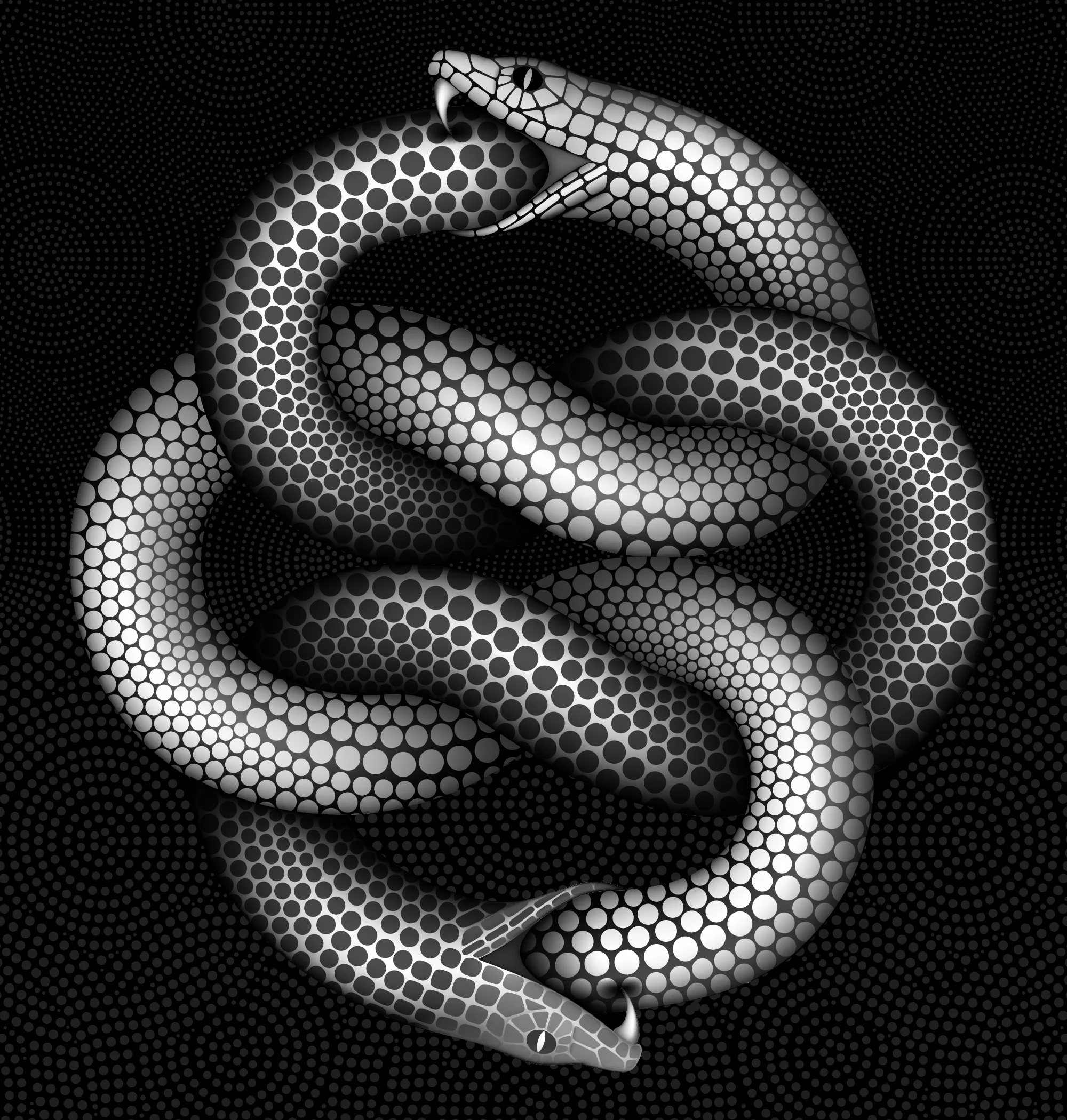 ENTANGLED_UNIVERSE.jpg