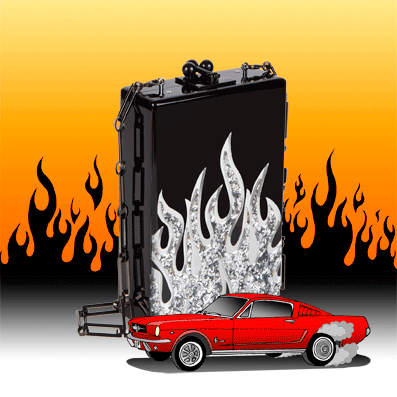 Mustang-72dpi-14cm-FINAL.gif
