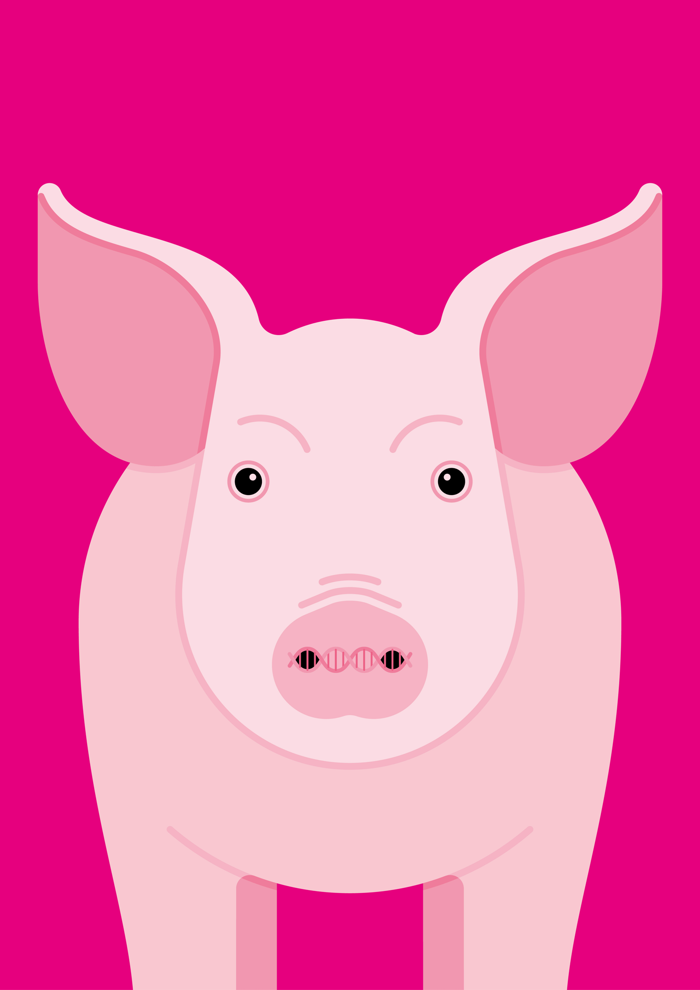 Livestock-Gene_Editing.gif