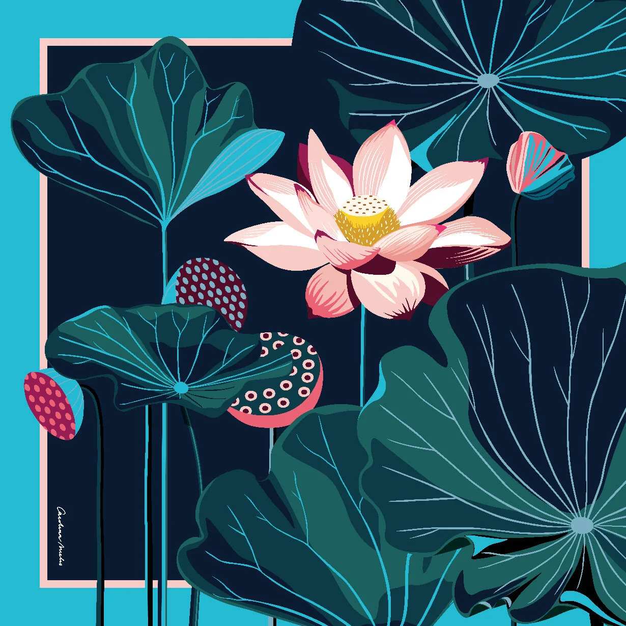 CarolinaMelis_Lotus.jpg