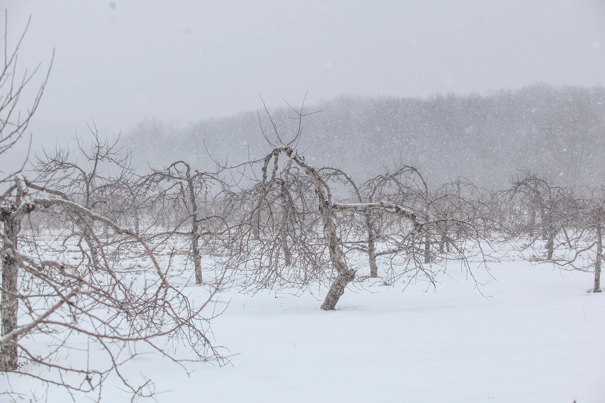 Baraboo, USA. 2017.