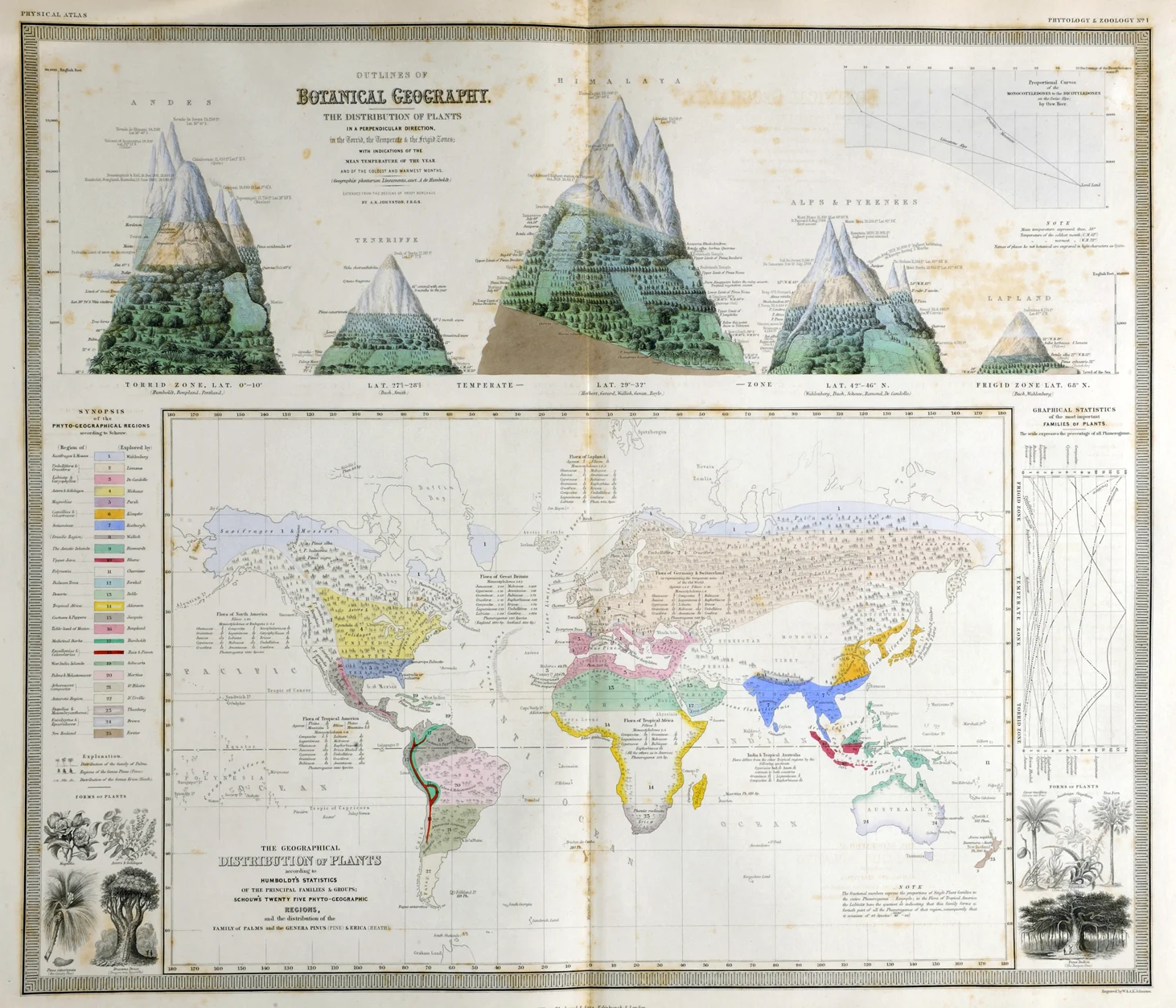 johnston-map-botany-thumbnail.jpg