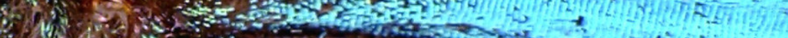 Screen Shot 2019-03-28 at 3.20.24 PM.png
