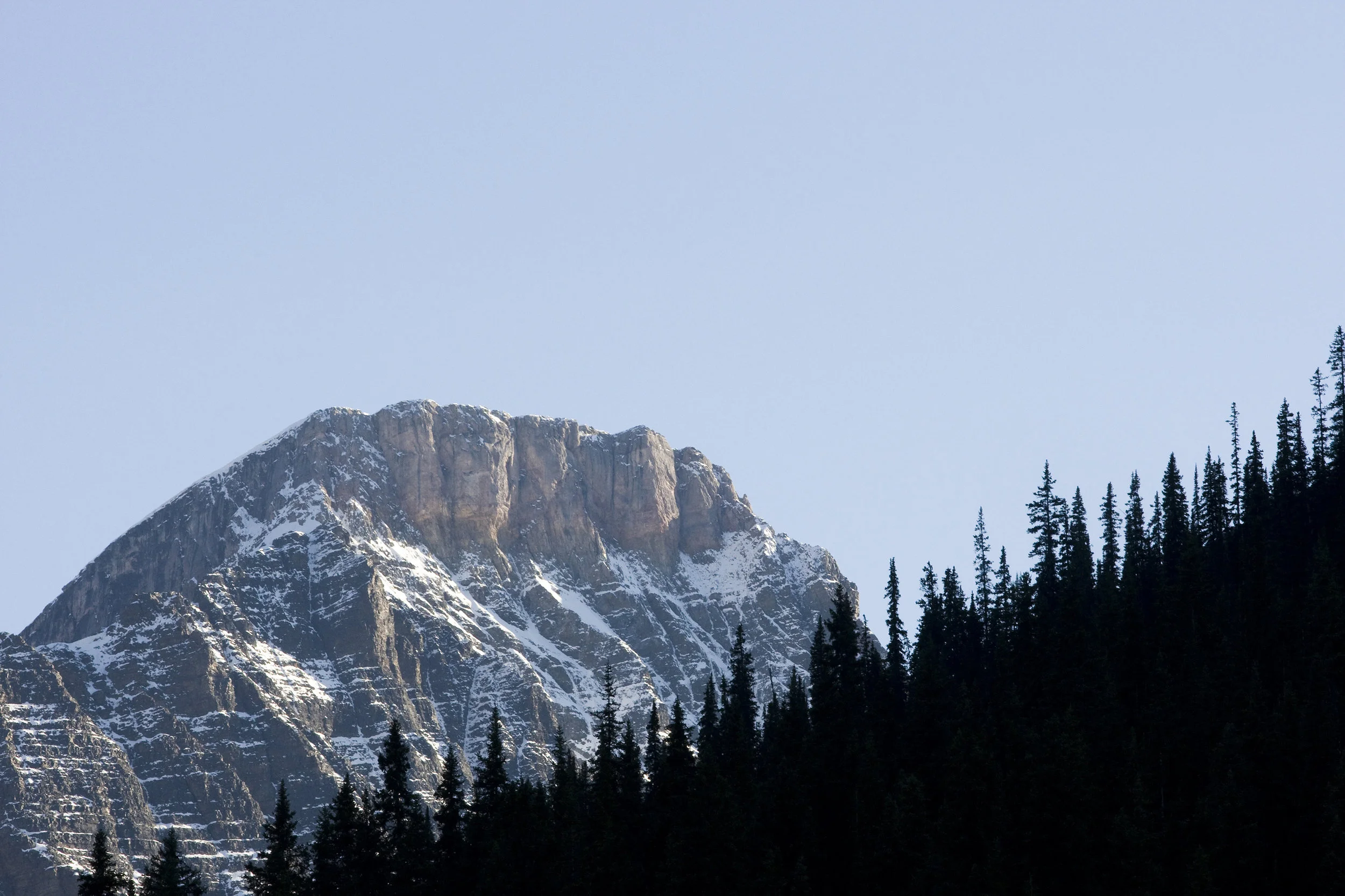 TREELINE