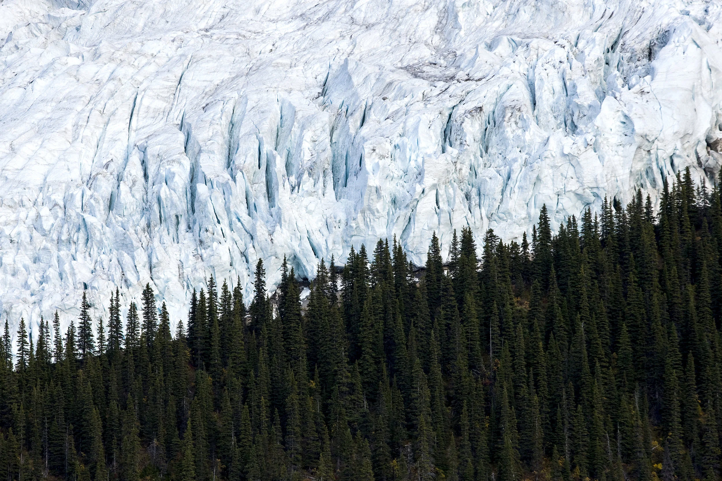 BERG GLACIER