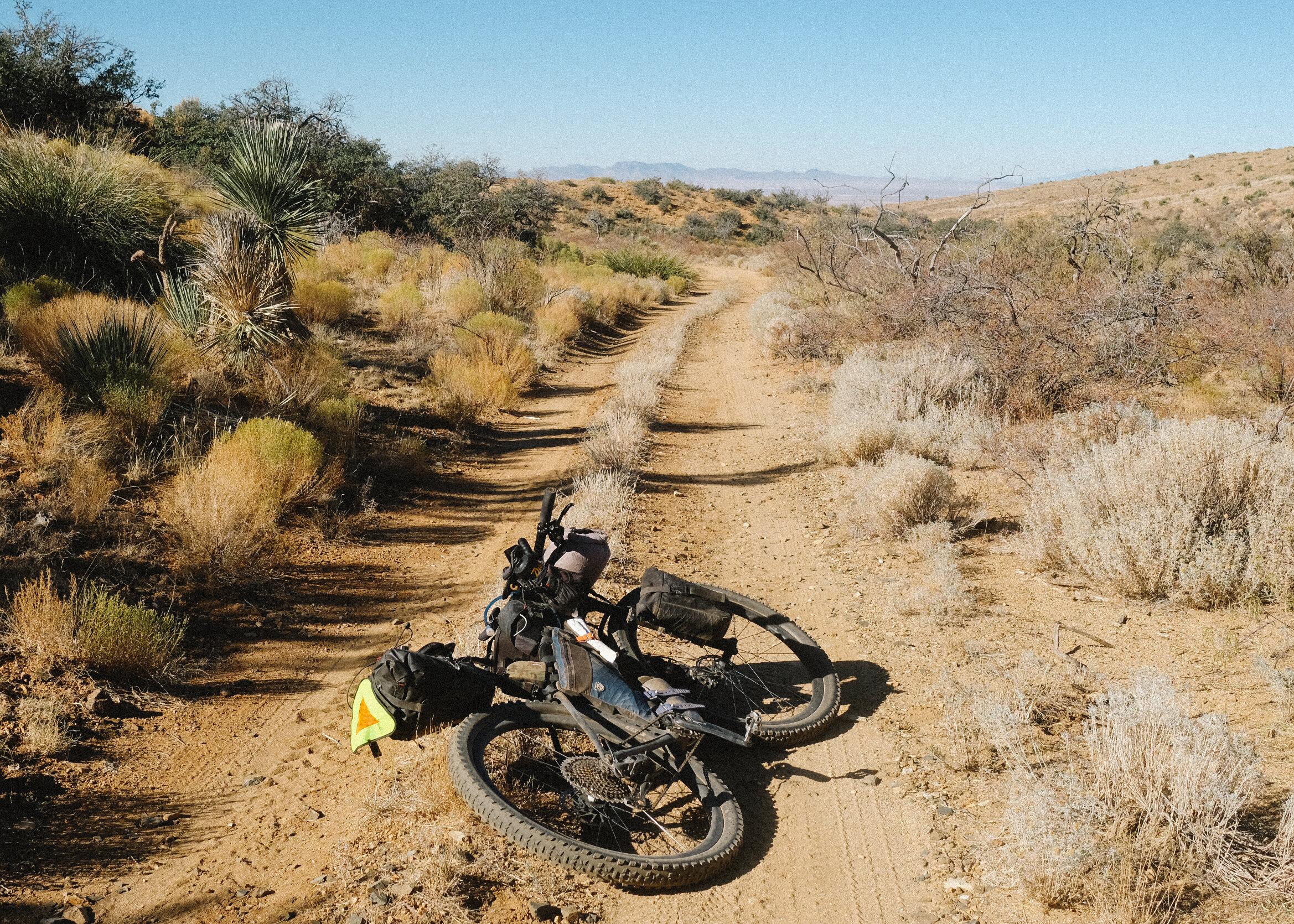 Growing Pains and a Healing Journey 