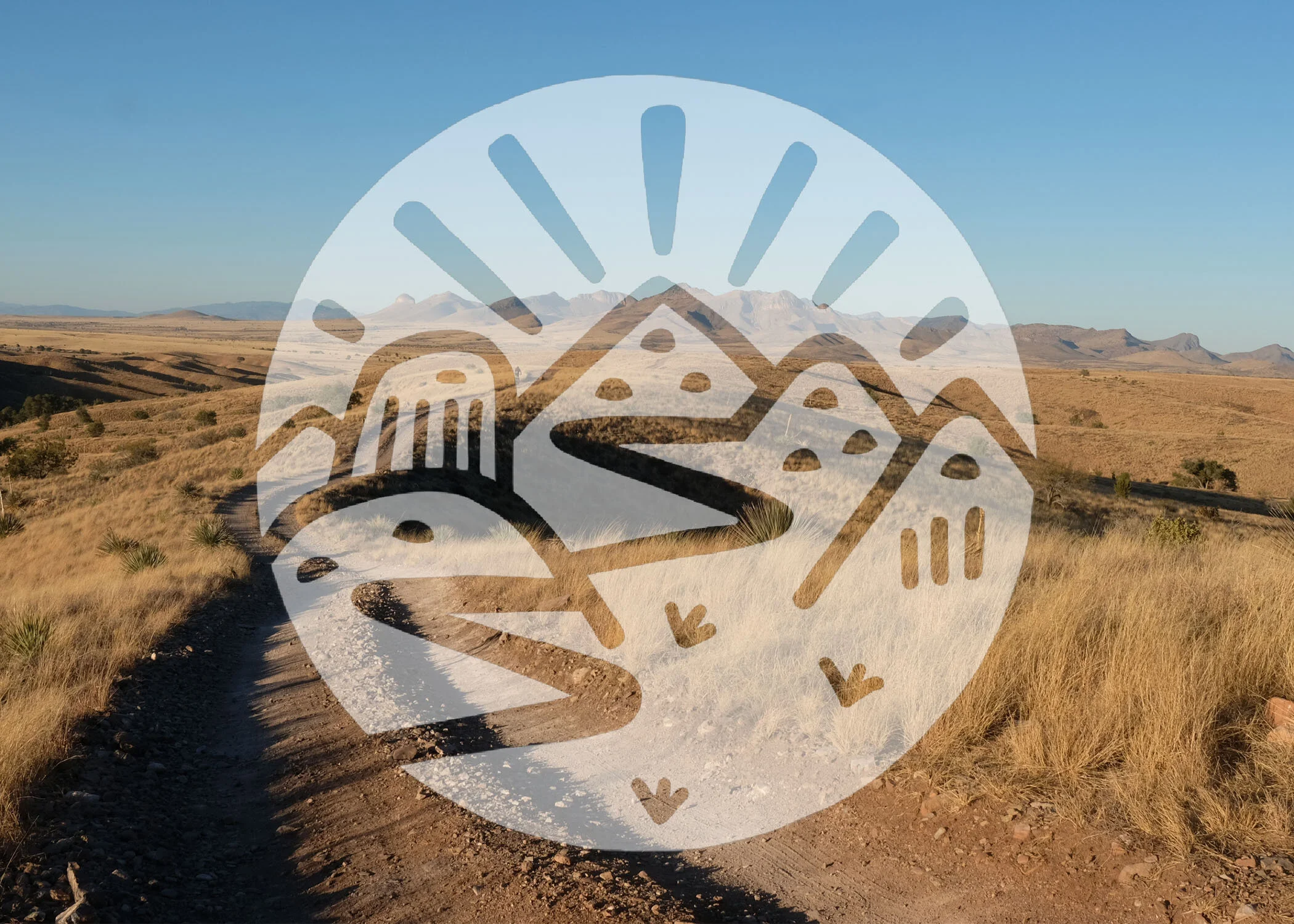 Sarah Swallow's Logo by Mary Lytle