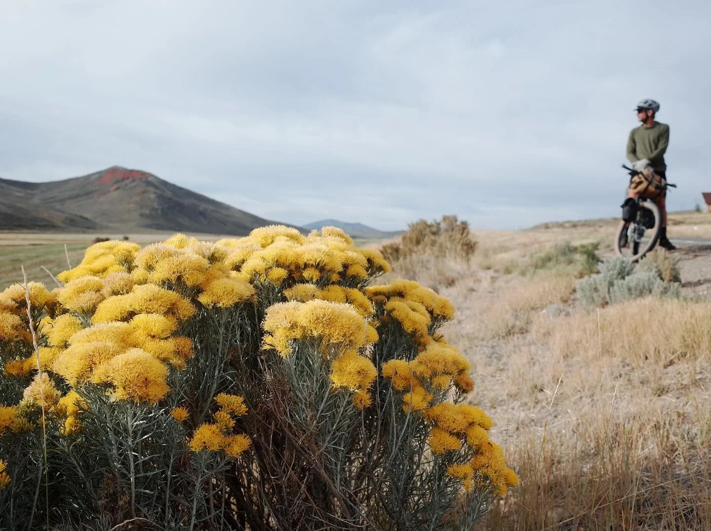 This past weekend, Minneapolis community member Alex Pretti was shot and killed by multiple ICE agents. Alex was an ICU nurse at the Minneapolis VA and part of the cycling community. He was one of us.

His death follows the killing of Ren&eacute;e Go