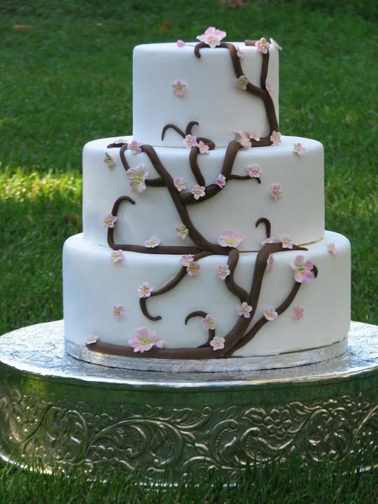 Custom cake Album — Cake Affection