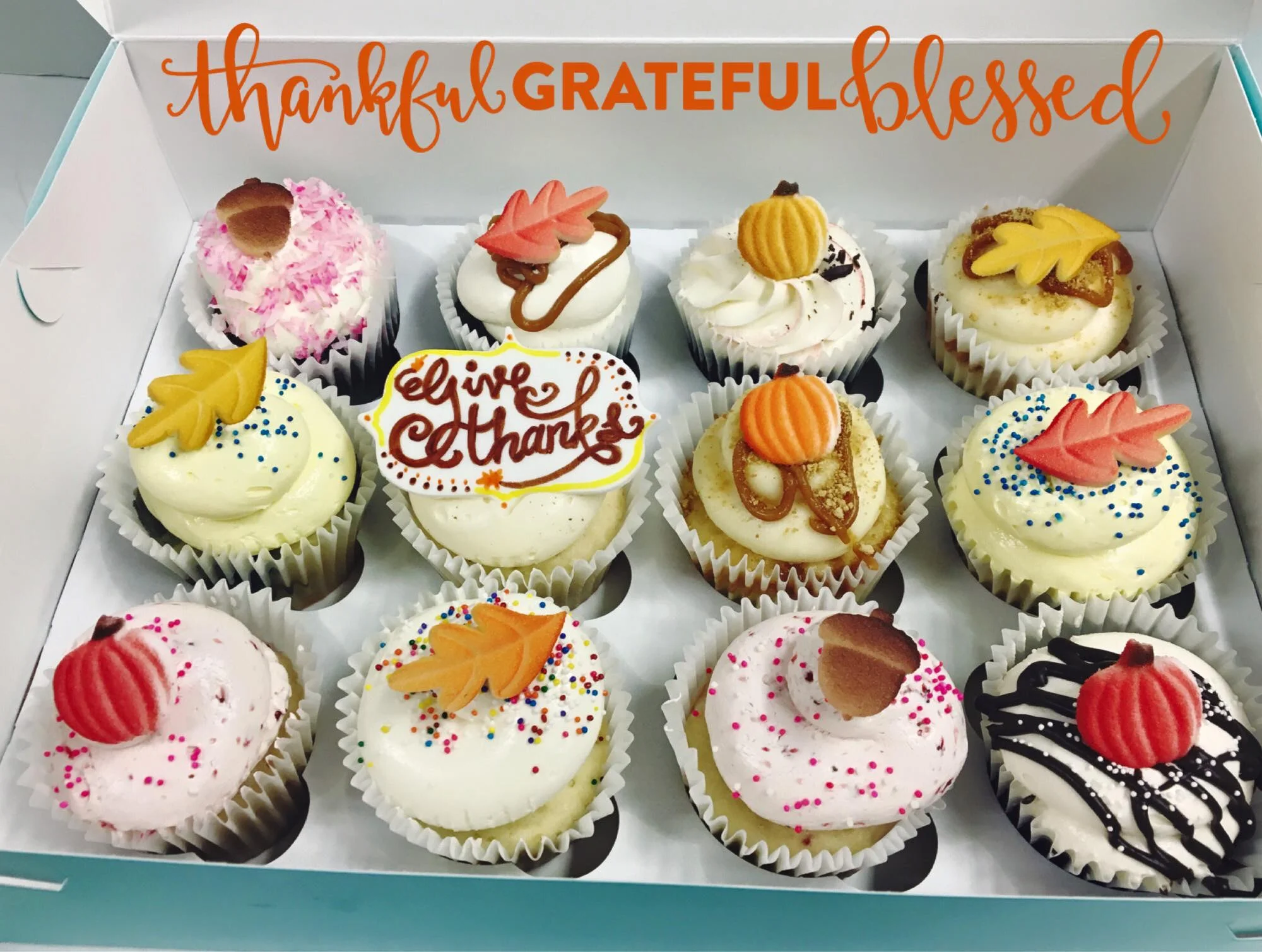 Cake Affection gourmet cupcakes and desserts in St. Pete, Seminole