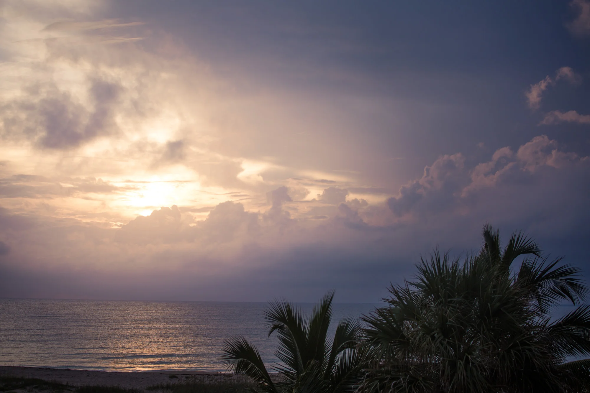 Beach evening.jpg