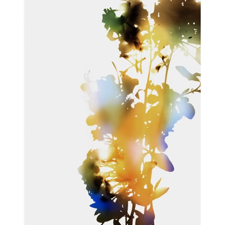 James Welling