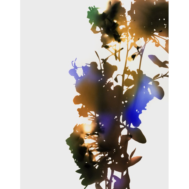 James Welling