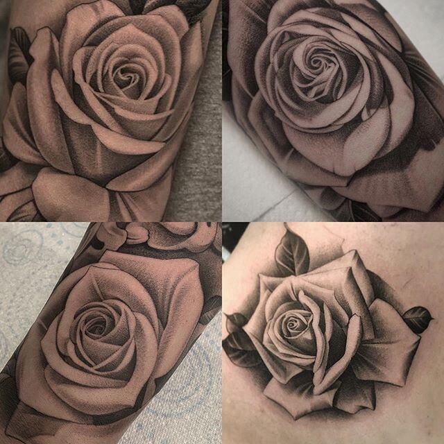 Some of the more recent #rosetattoo #tattoos #rose #tattoosouthampton #blacklanterntattoo #southamptontattoo #southamptontattooist #southampton  #blacklanterntattoo #uktattoo #uktattooartist  #uktatttooist
#tattooing  #tattoo #bishoprotary  #killerin