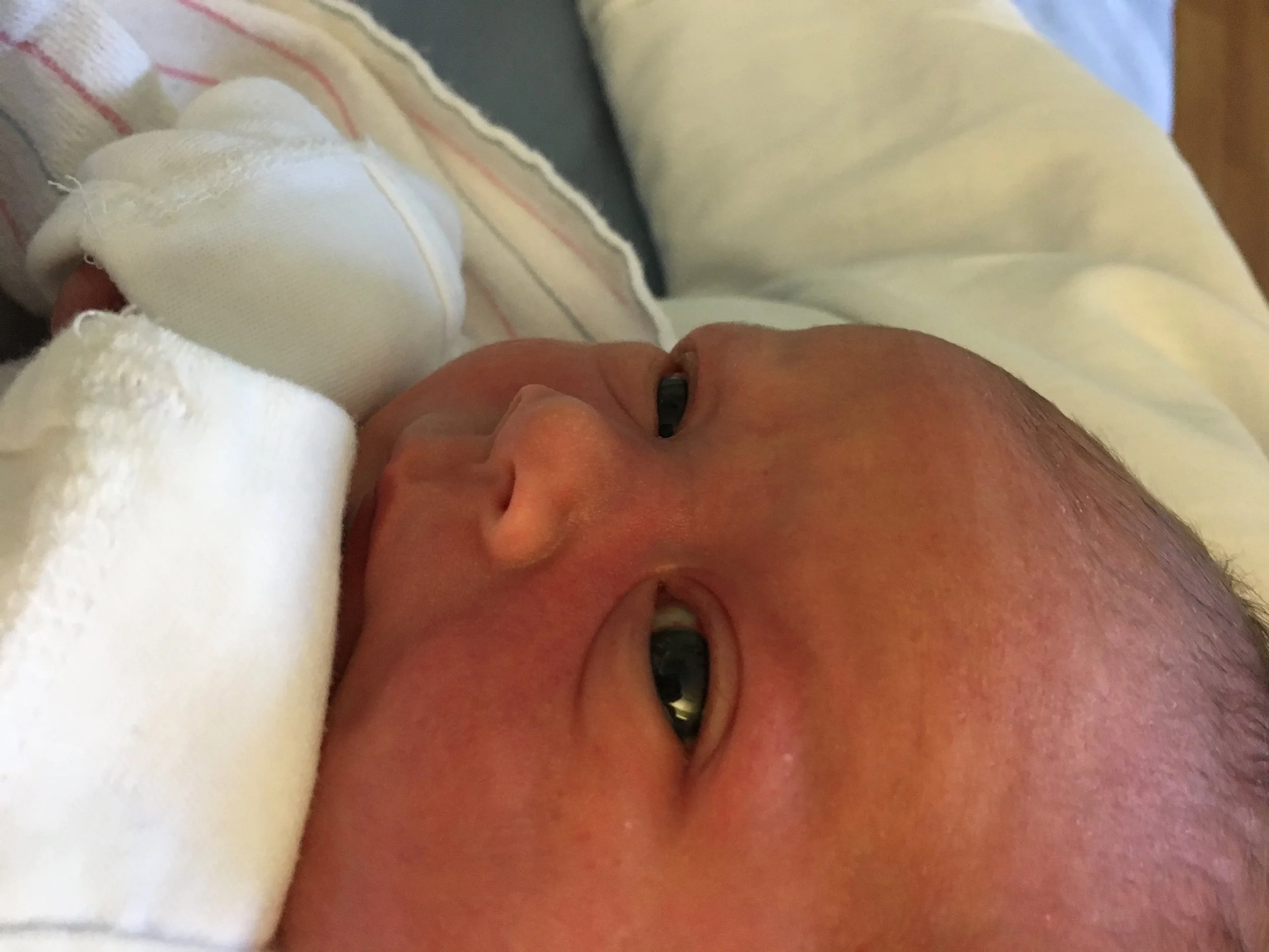 Adventure #2