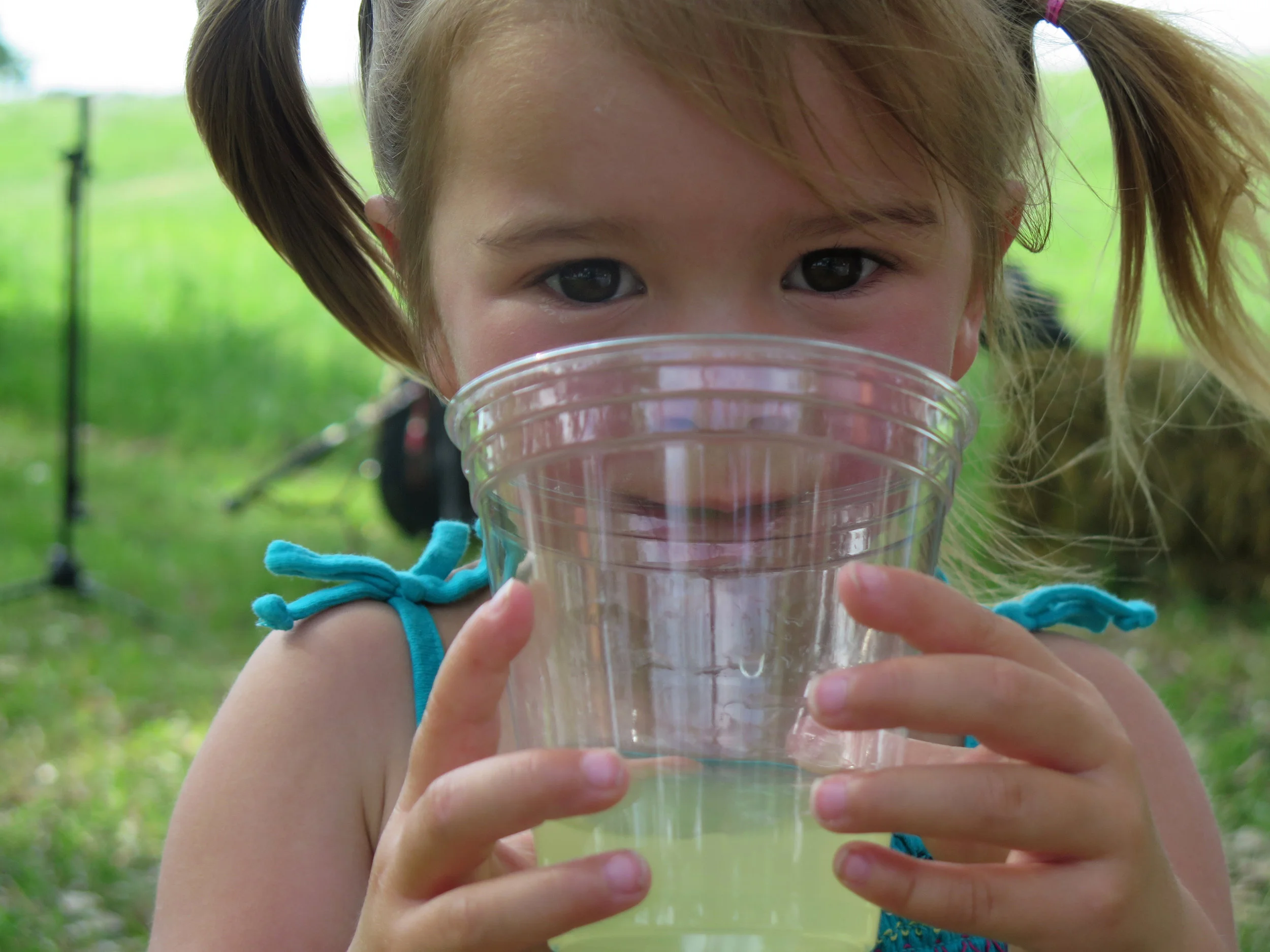 Cows, Coors, Horses and Lemonade in Ramah, CO