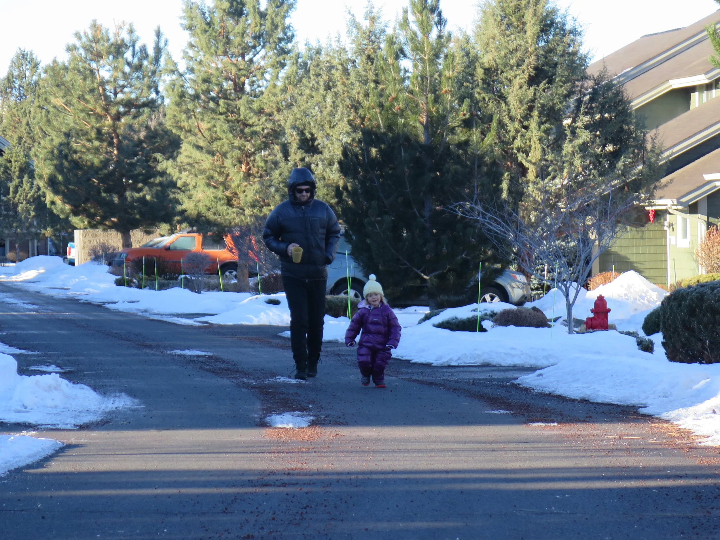 Christmas in the PNW!