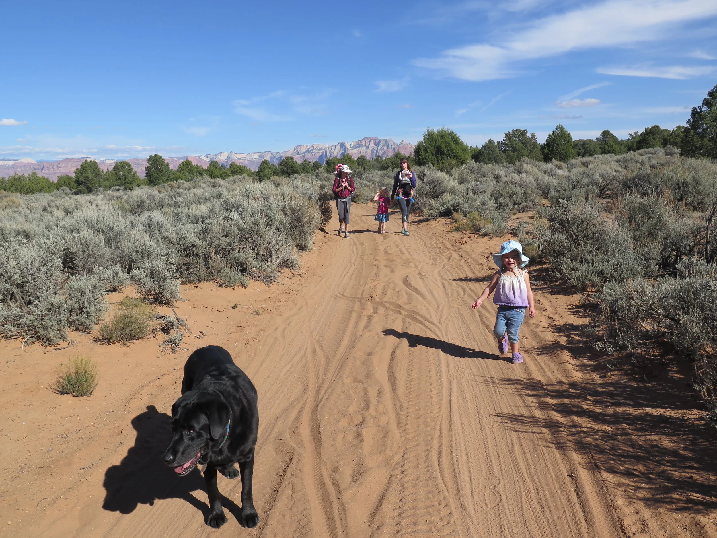 Desert Vision Quest 2016