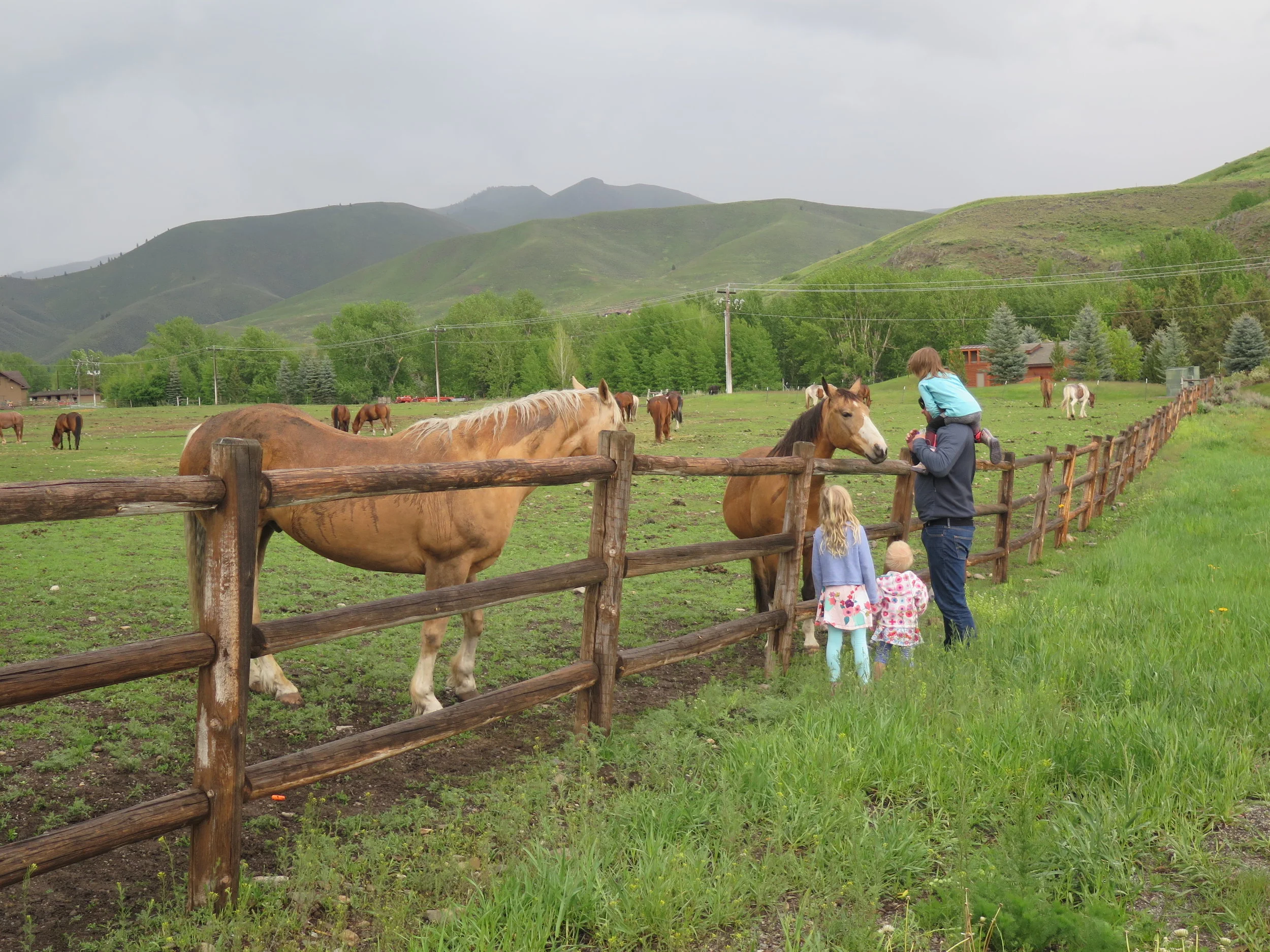 Valley of the Sun (and Rain), Part II