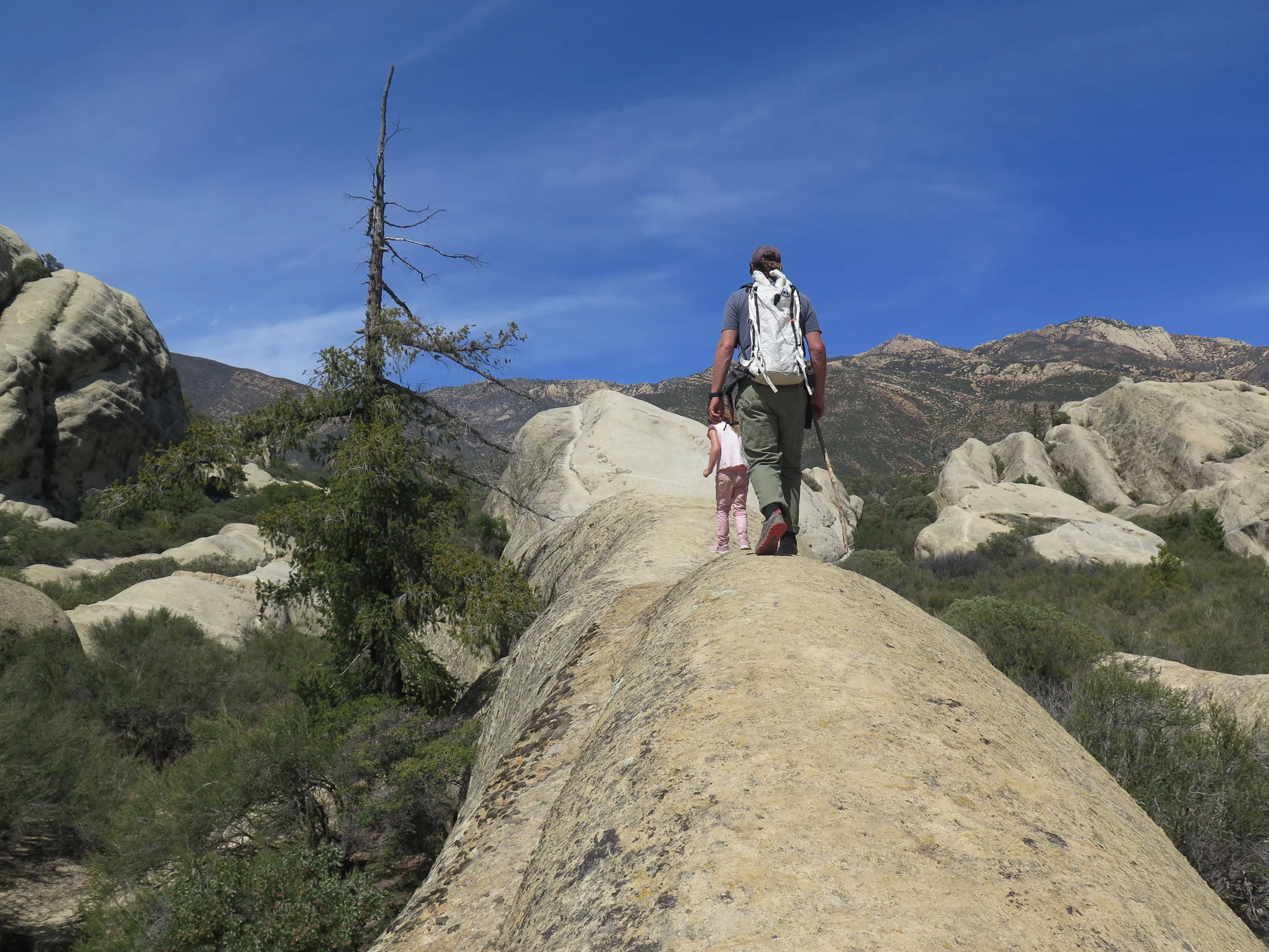The Sespe
