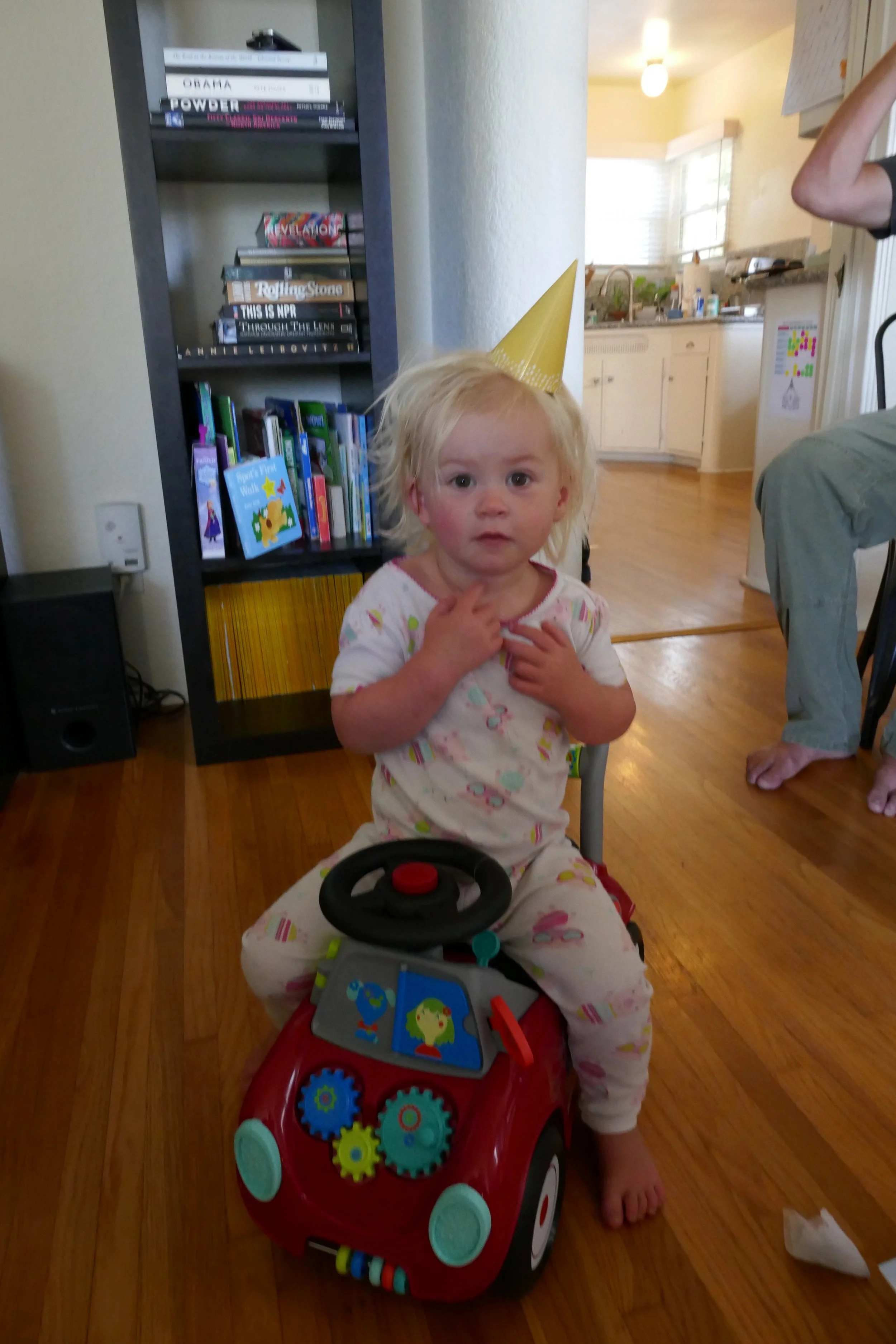 P1050316.jpg