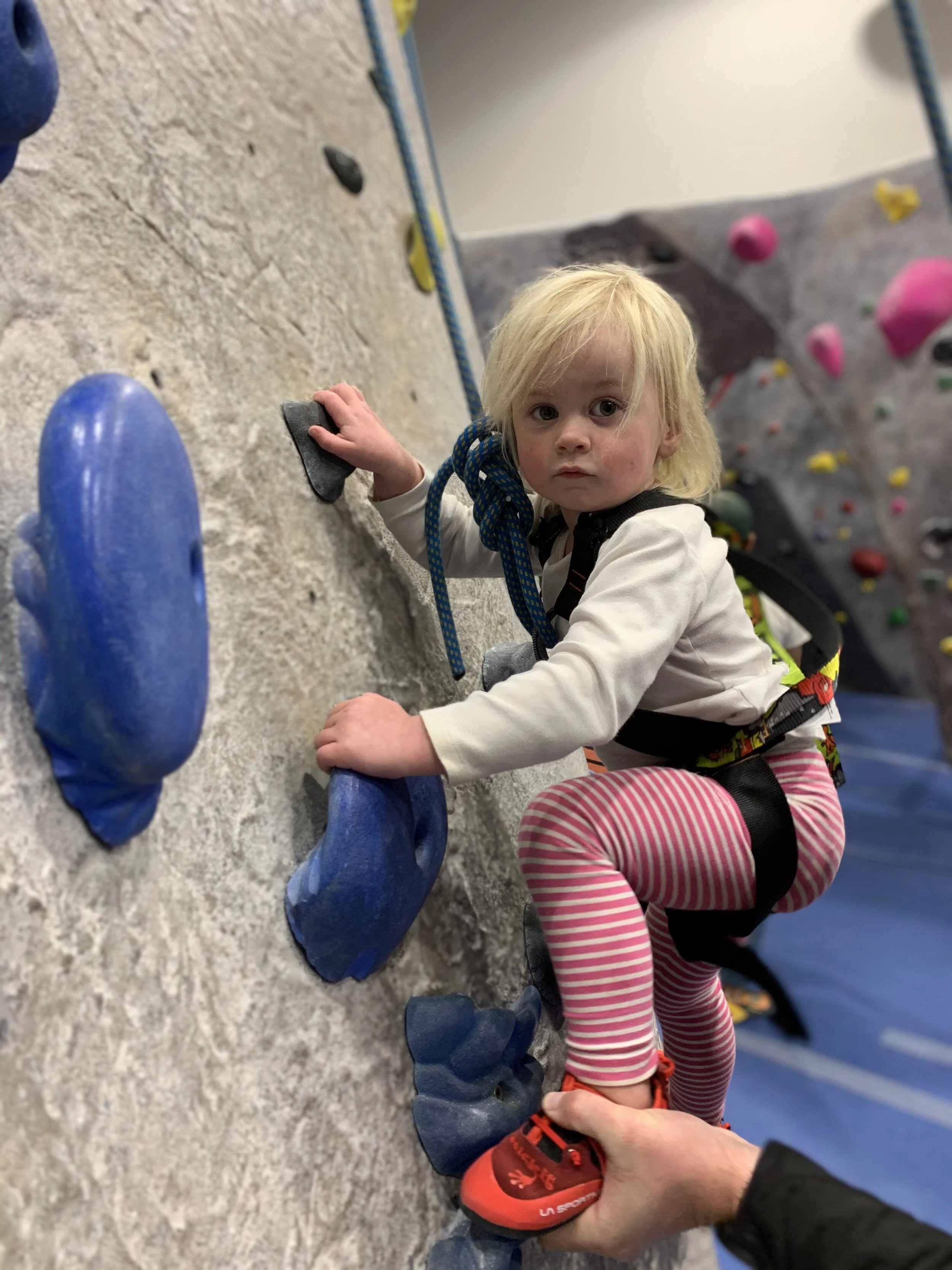 IMG_0314.jpeg