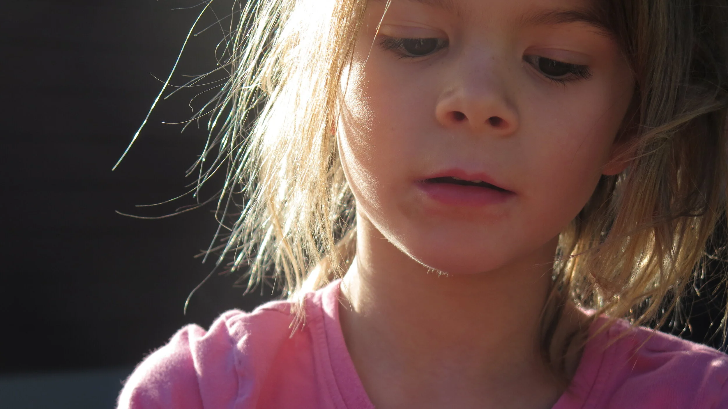 Last Light. Last Snow.