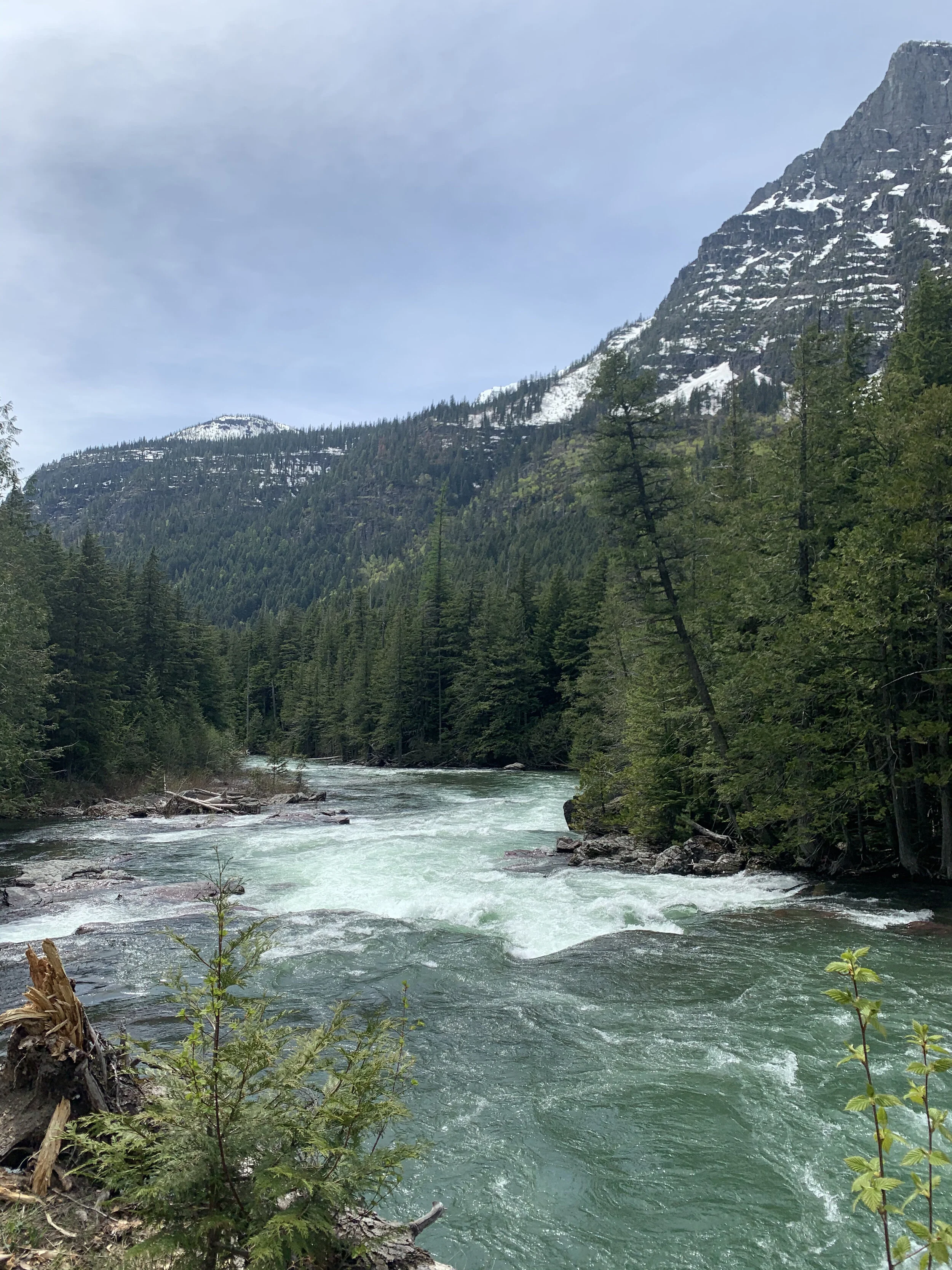 IMG_4383.jpeg