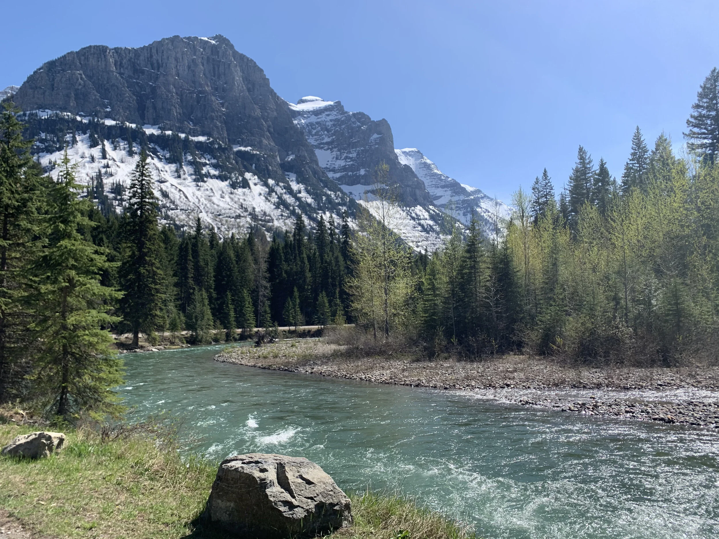 IMG_4427.jpeg