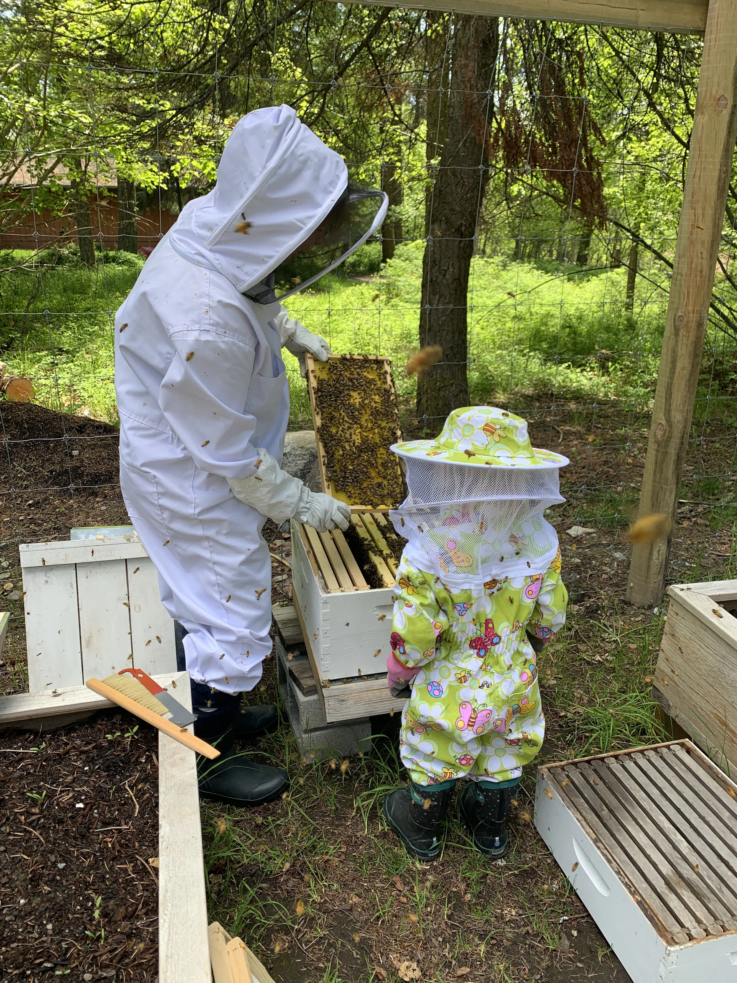 Auntie Moi is the Bee's Knees