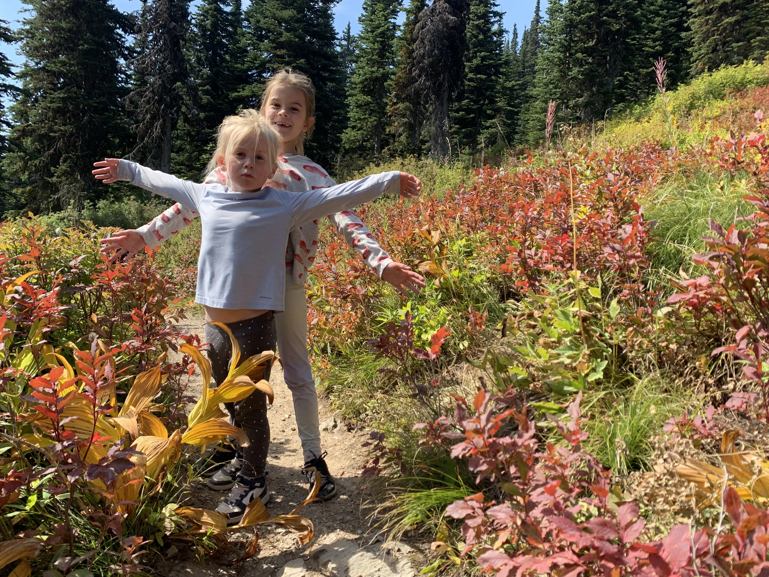 I'm Your Huckleberry