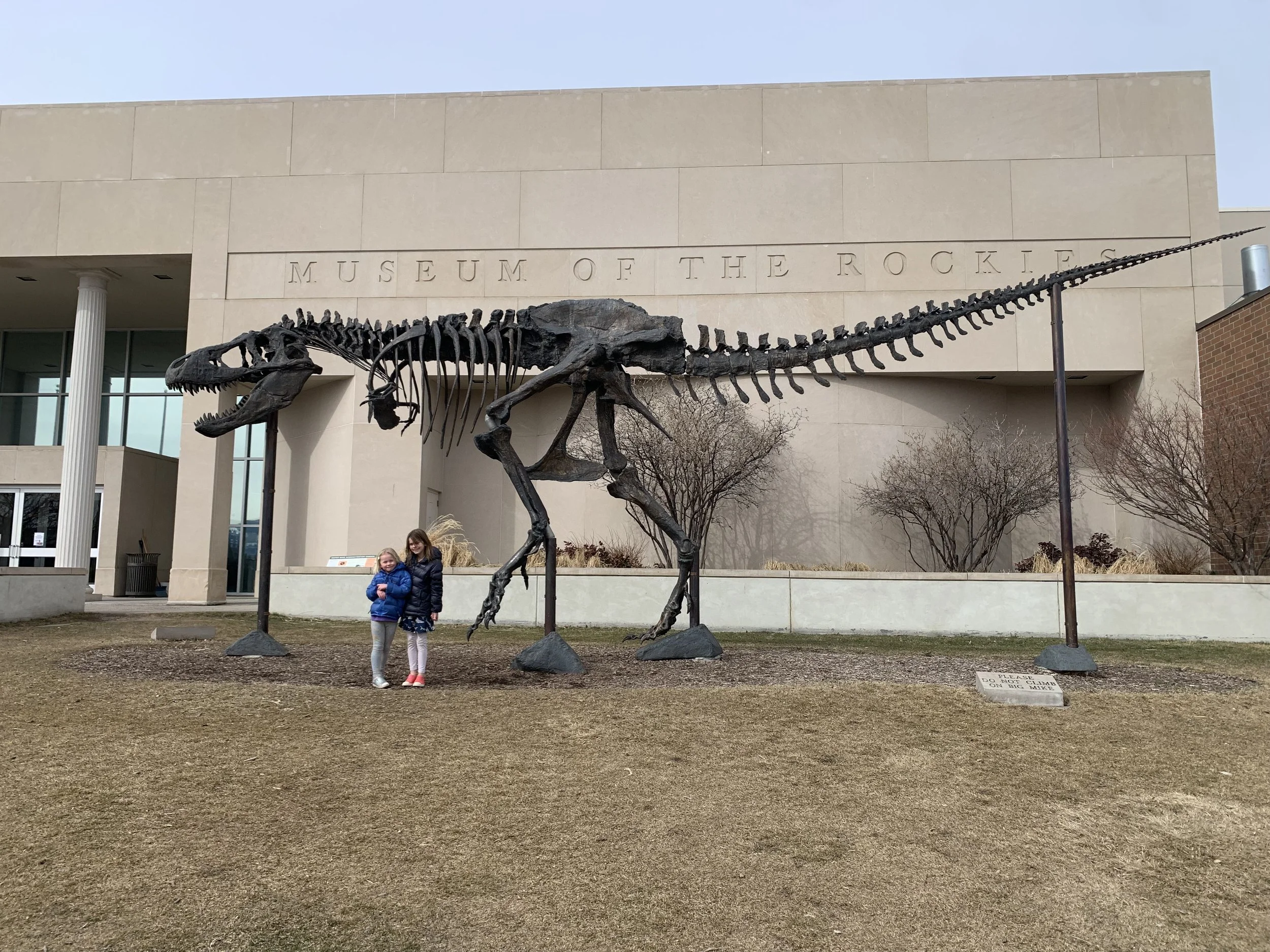 Museum of the Rockies!