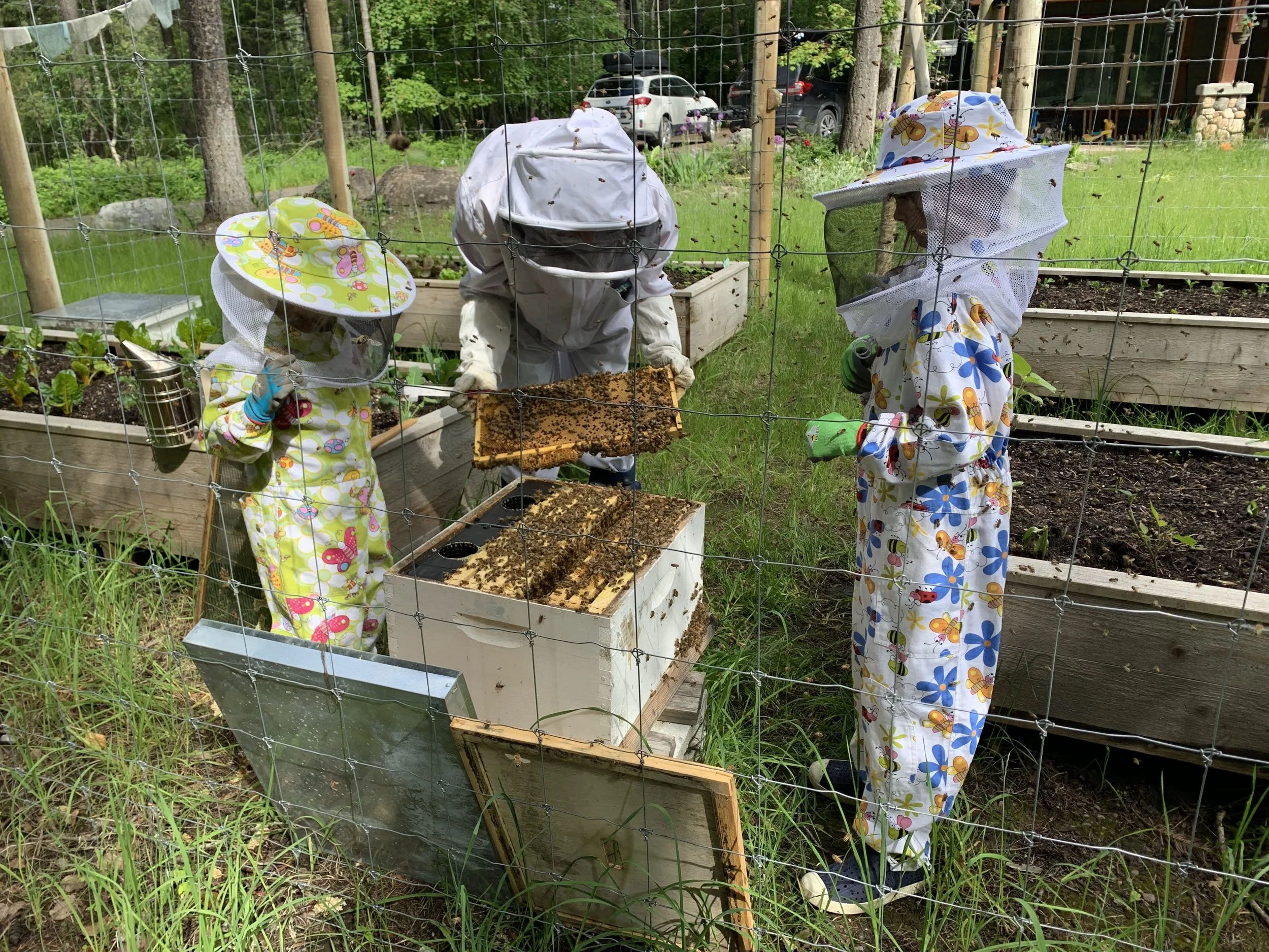 All A-buzz with Auntie Moi