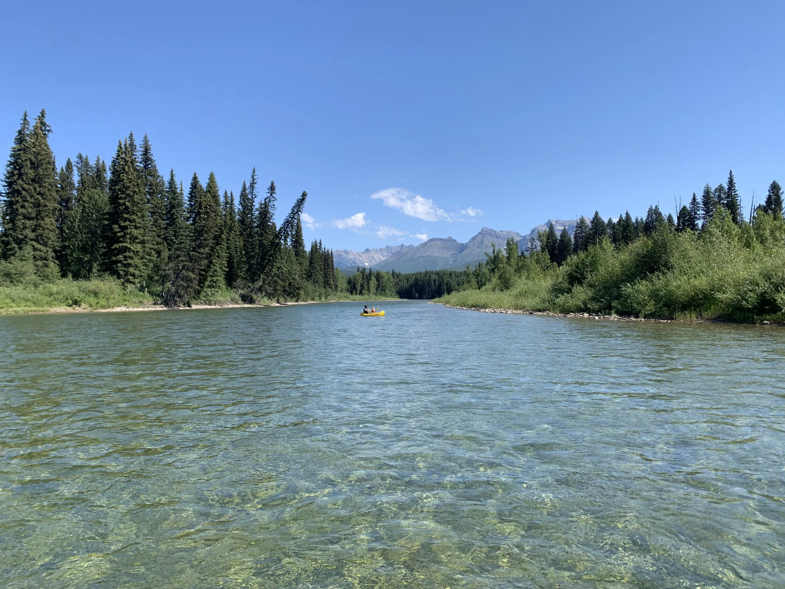 IMG_7102.jpeg