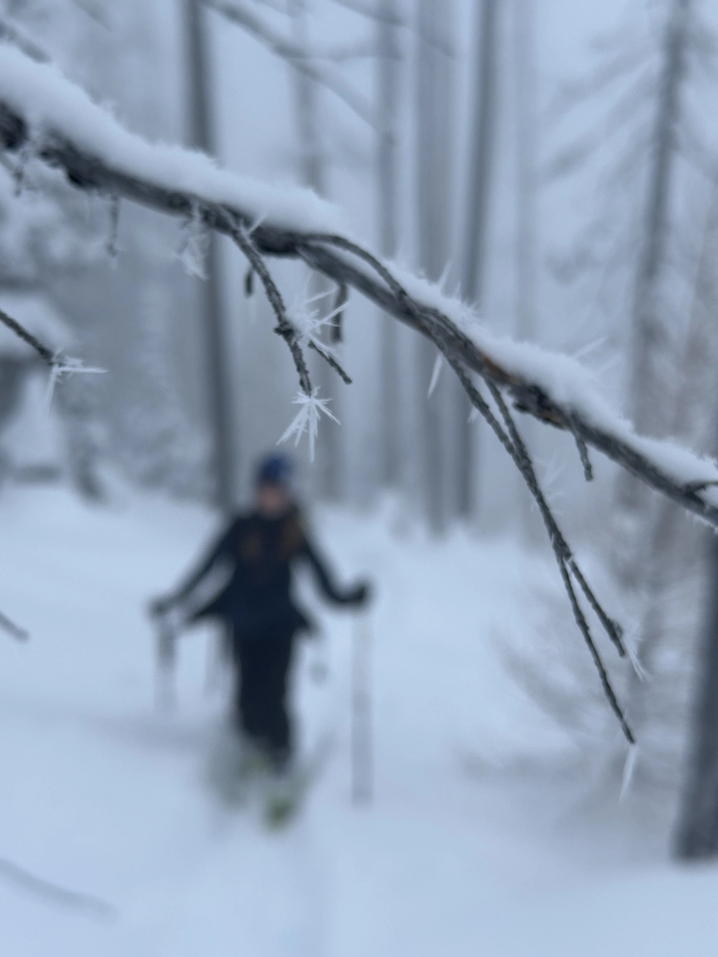 Rounding Out the Year -- 2024