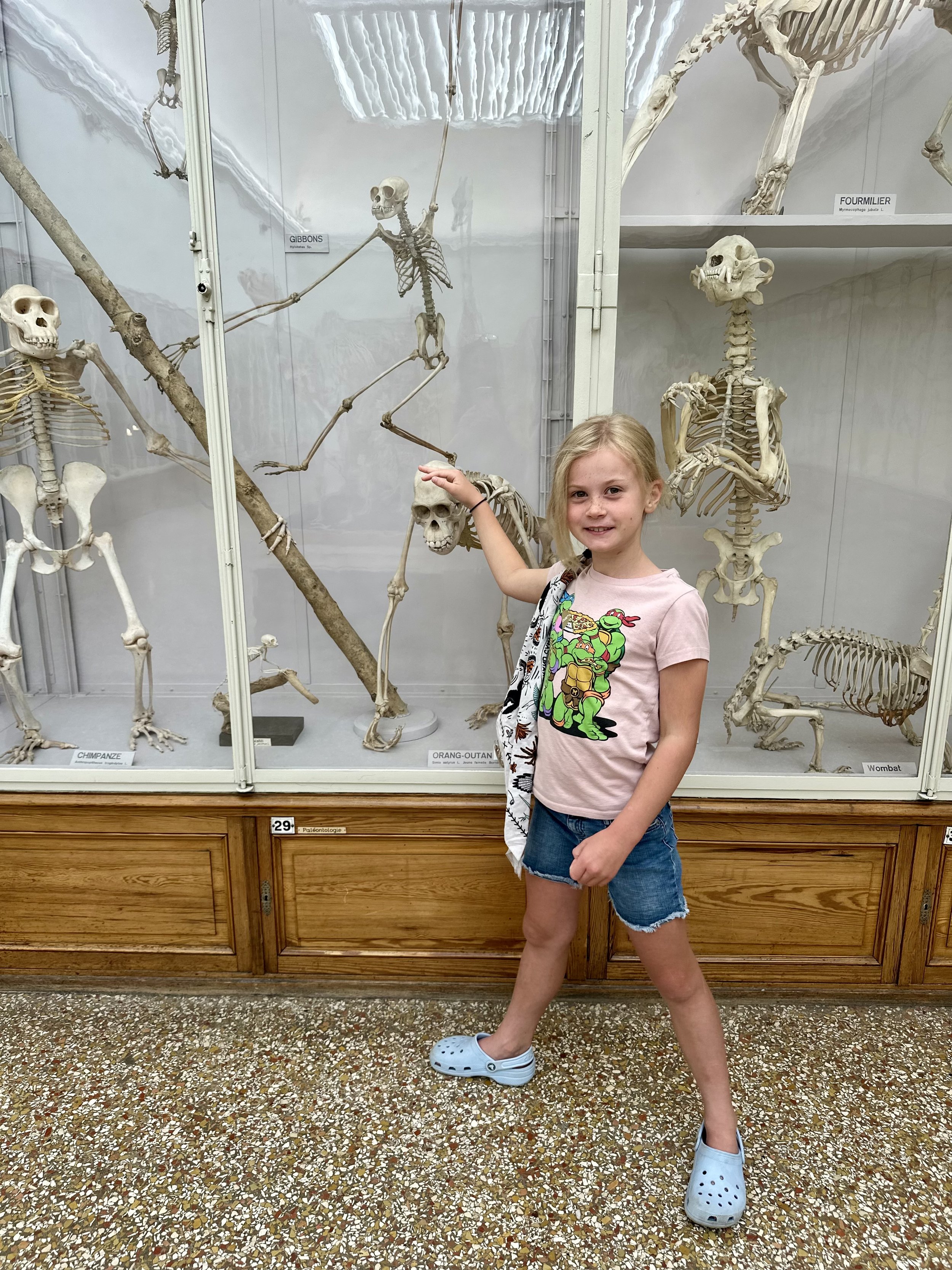 IMG_2665.jpeg
