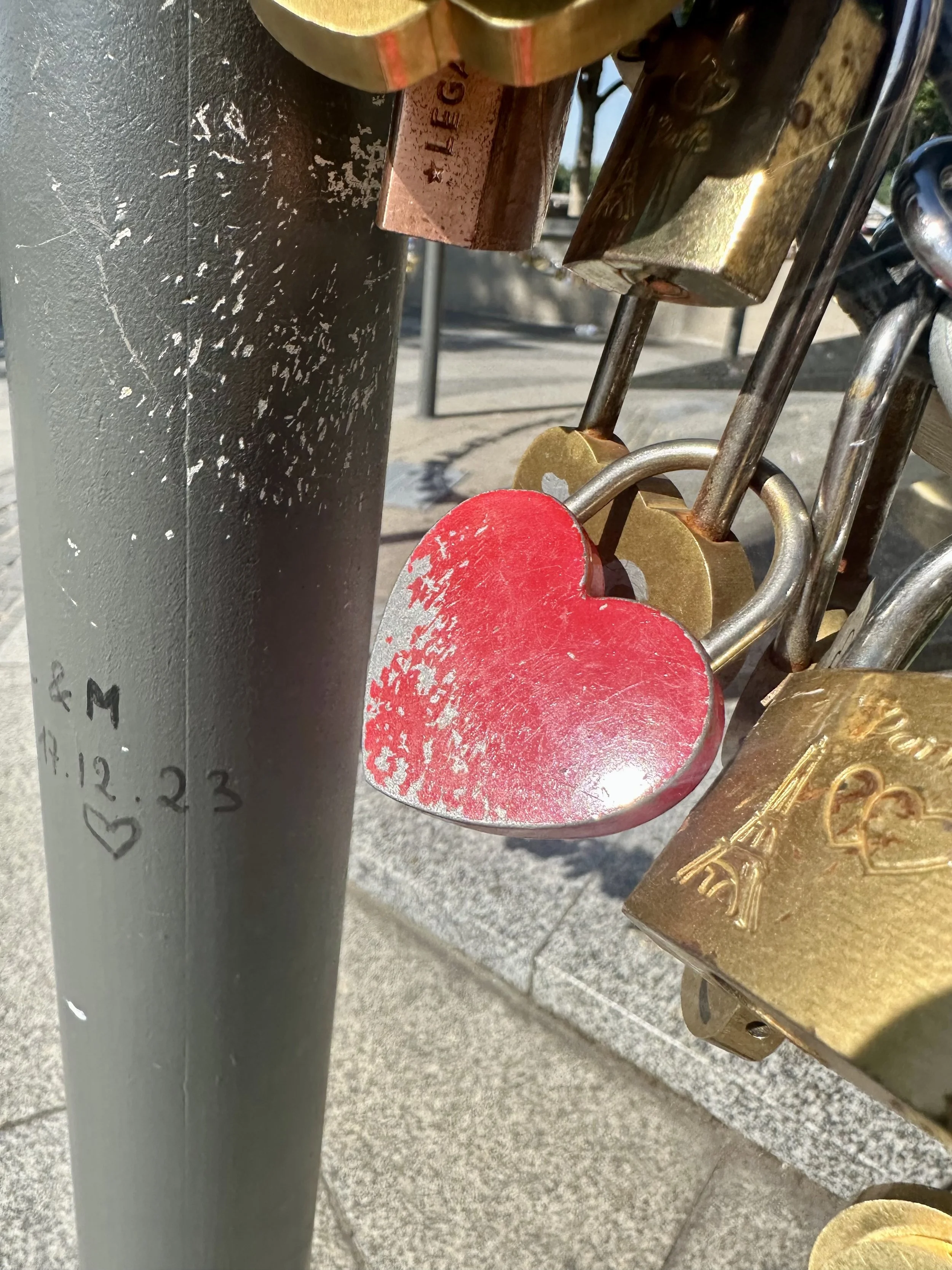 IMG_2452.jpeg