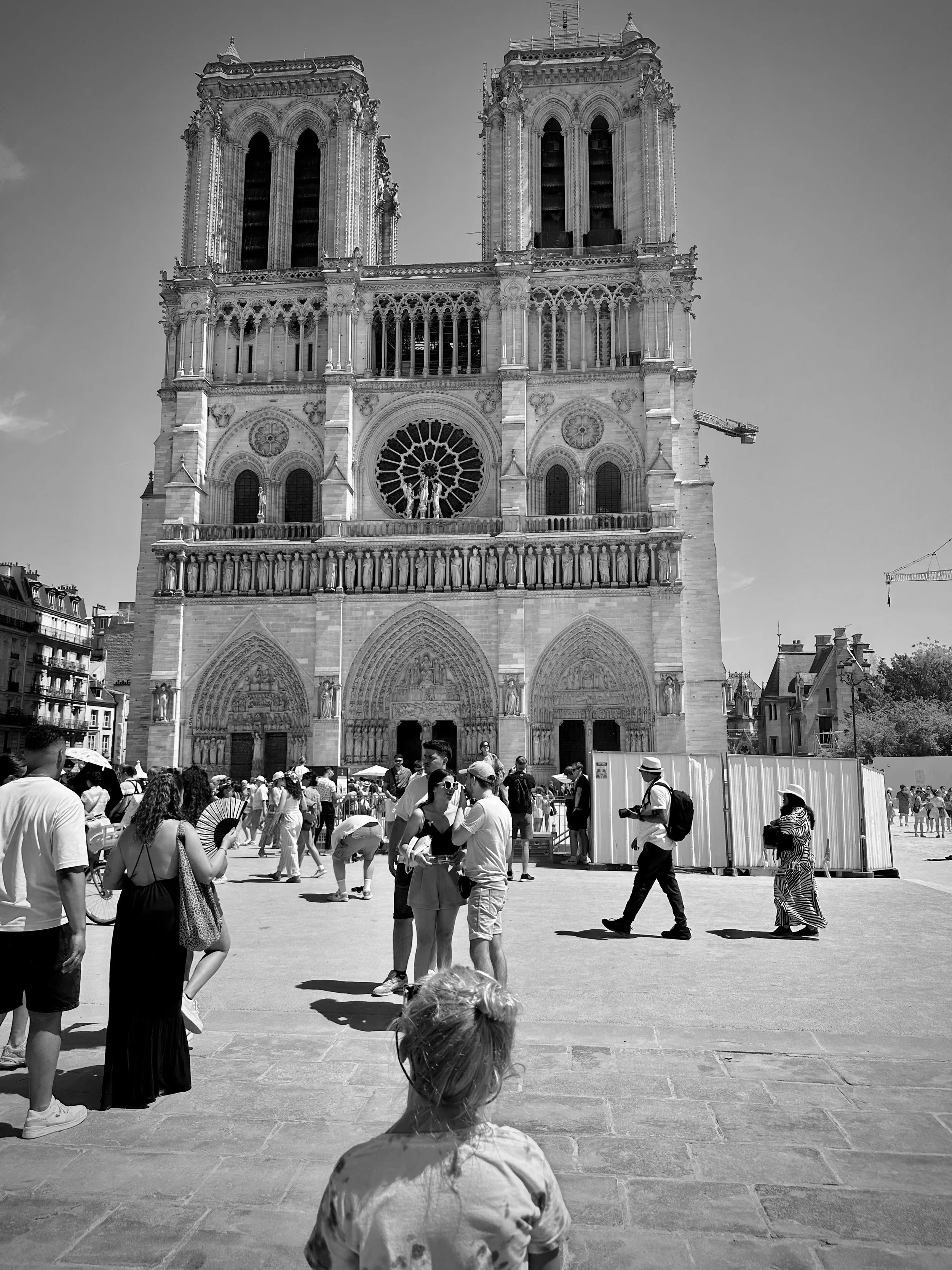 IMG_2814.jpeg