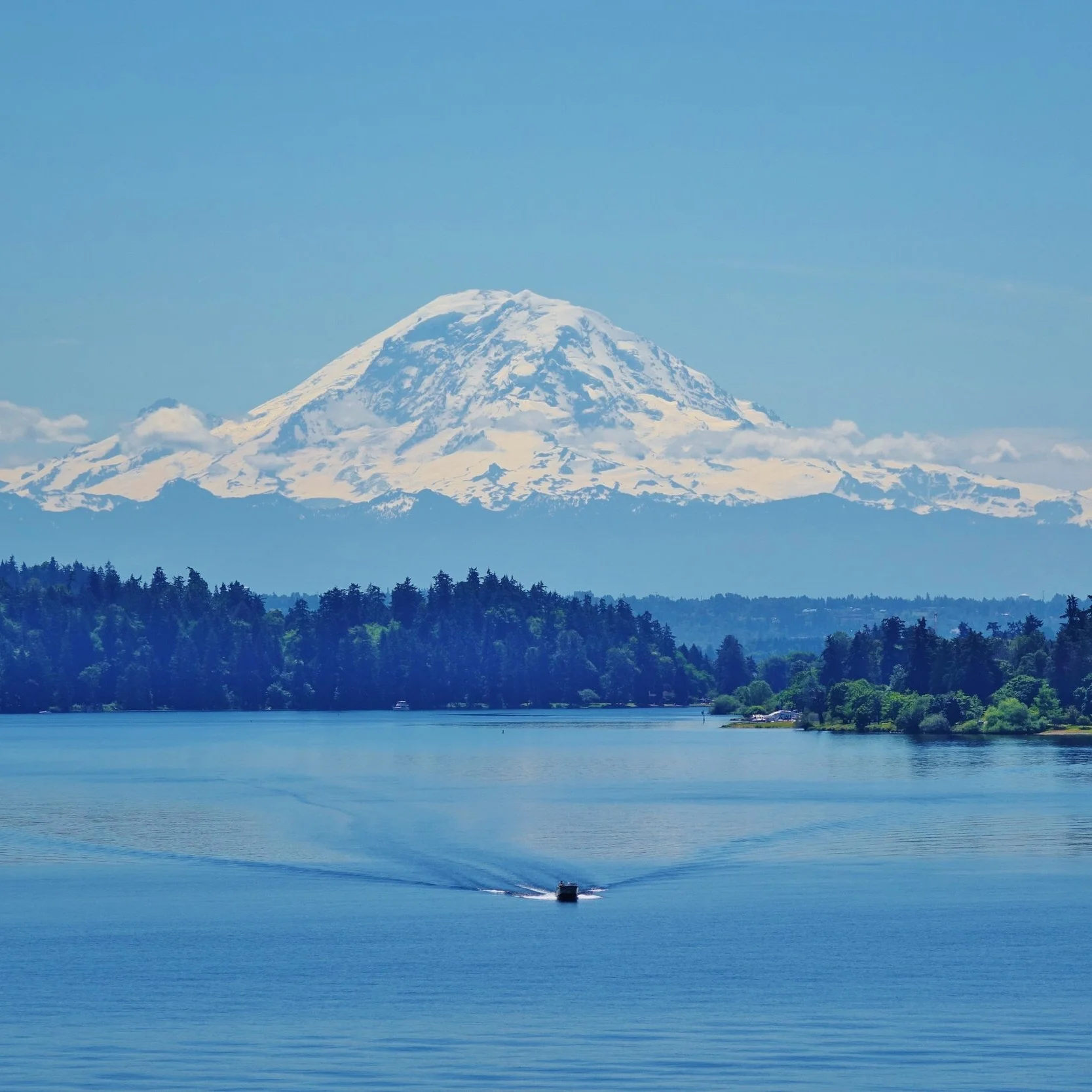 Washington State Open