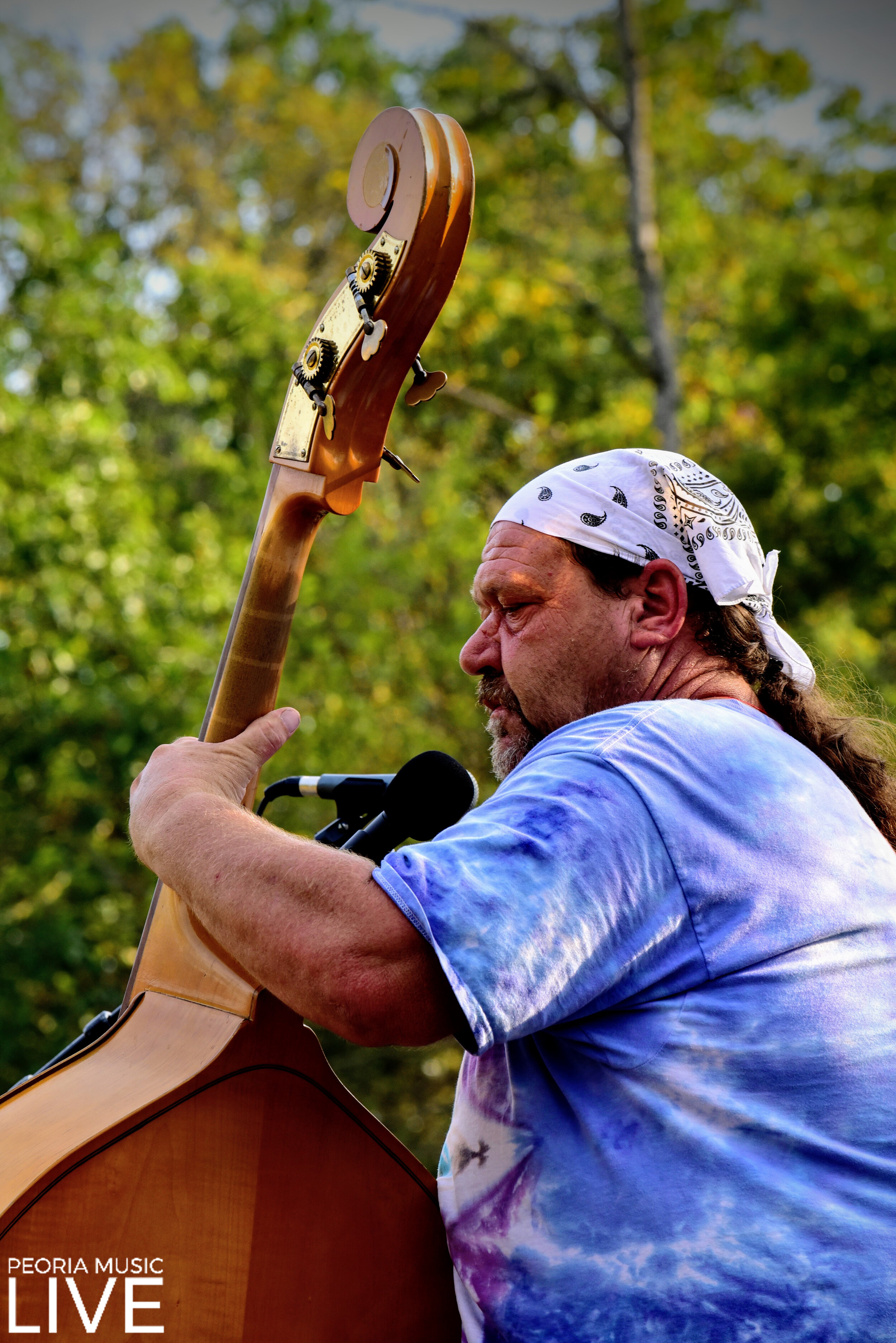 Still Shine at Blue Ridge Community Farm