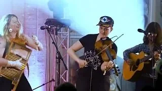 Small Batch Shorts -  Della Mae Hartford