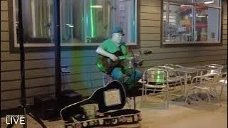 James Herr - Fire and Rain