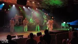 Here Come The Mummies - Whip It Out